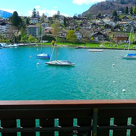 Hotel-restaurant Seegarten-marina Hotel 3*