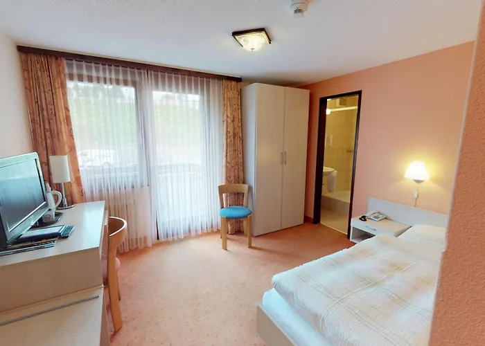 Hotel Hotel-restaurant Seegarten-marina