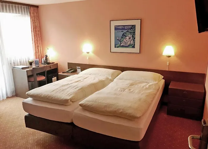 Hotel Hotel-restaurant Seegarten-marina 3*