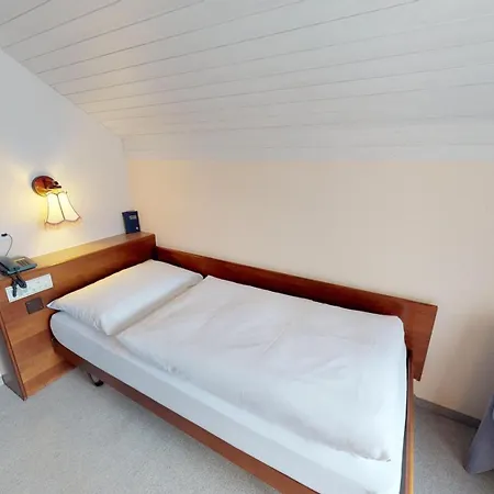 Hotel Hotel-restaurant Seegarten-marina Spiez