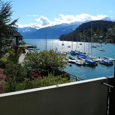 Hotel-restaurant Seegarten-marina 3* Spiez