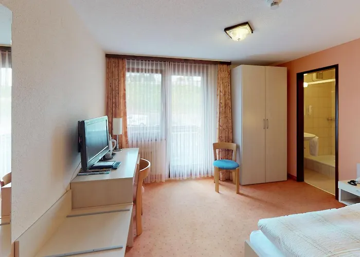 Hotel-restaurant Seegarten-marina Hotel 3*